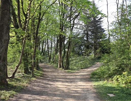 acces forestier à Cuffy dans le Cher et dans la Nièvre